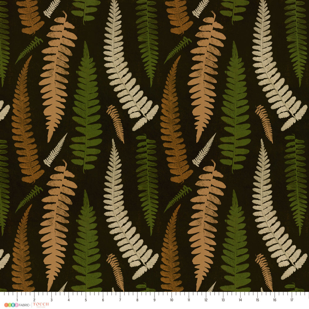 Corcovado | Boho Chic Ferns