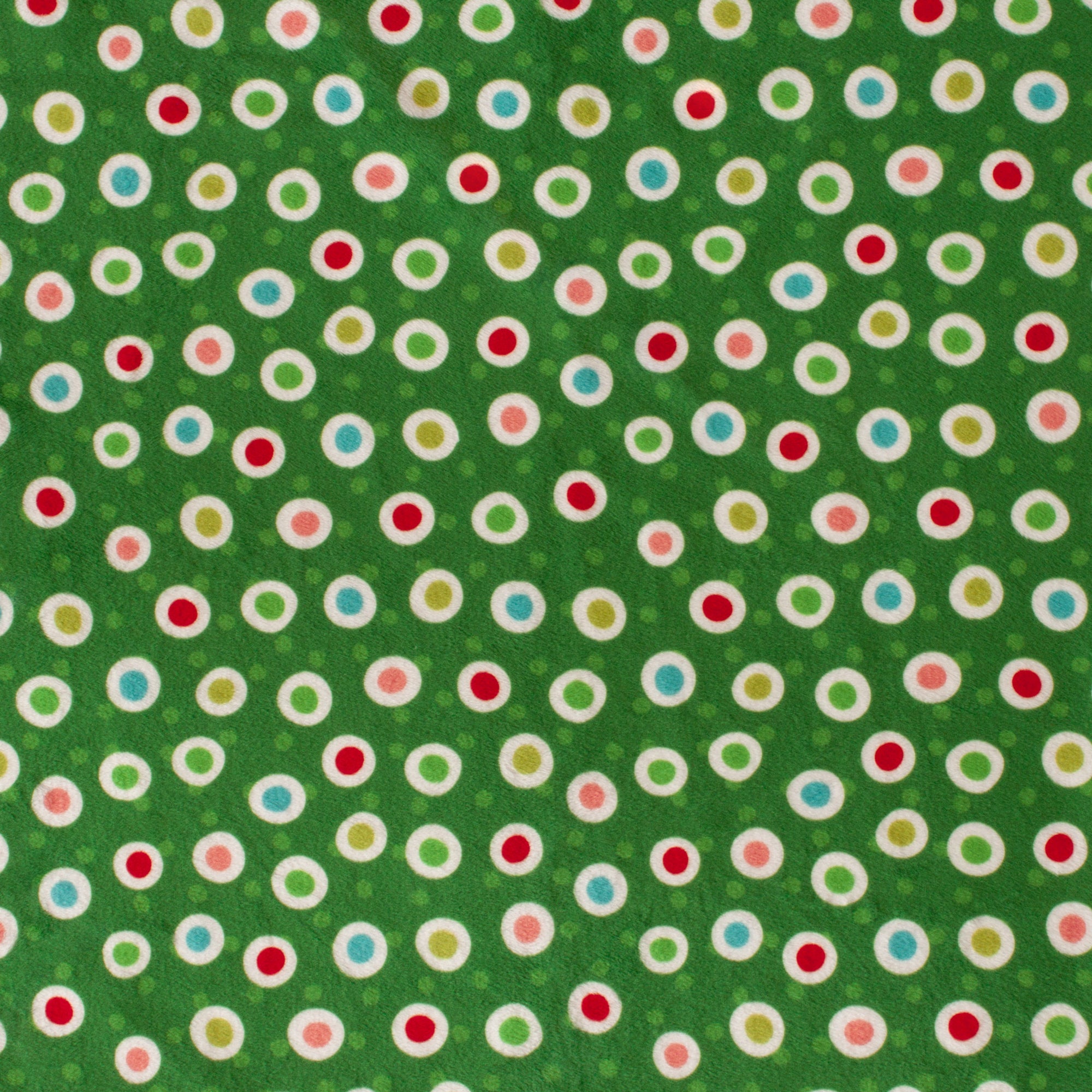 Holiday Polka Dots | Gnome for the Holidays