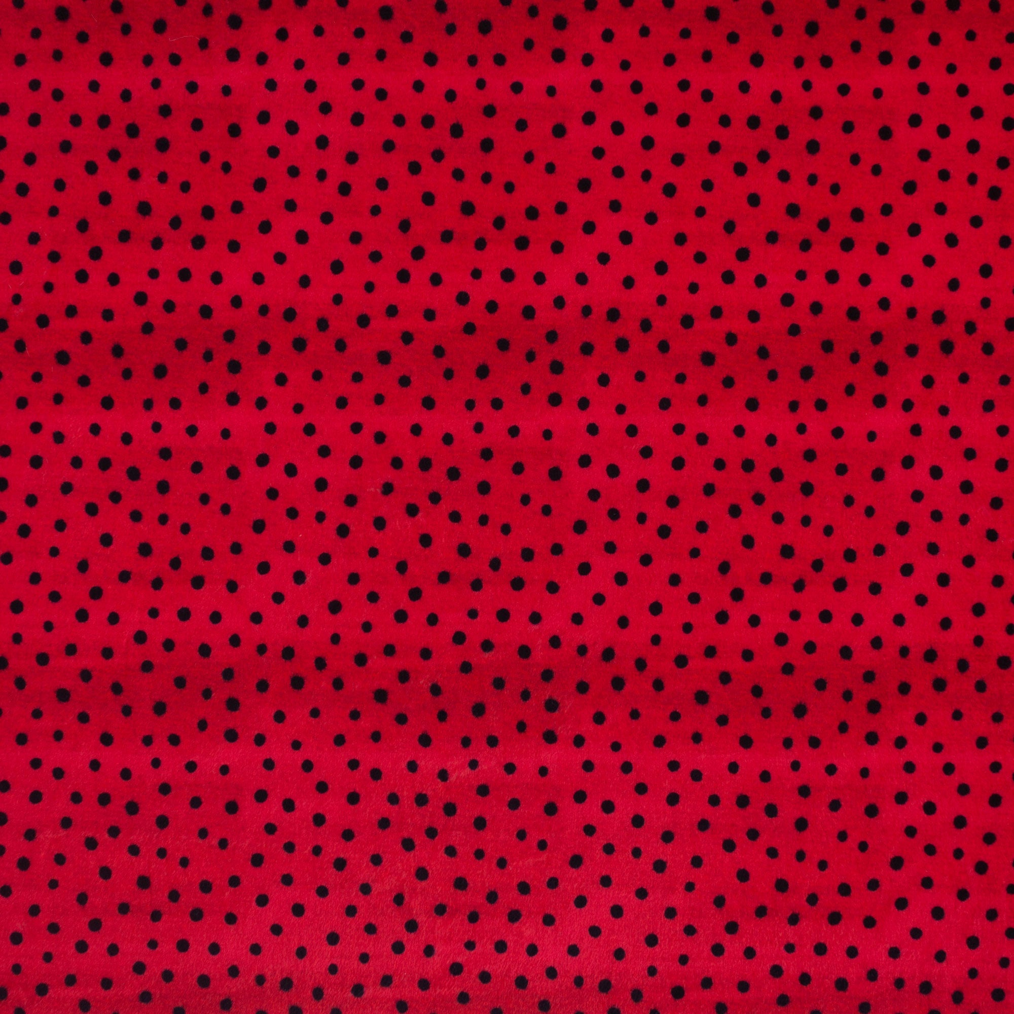 Critter Speckles | Buzzy as a Bug