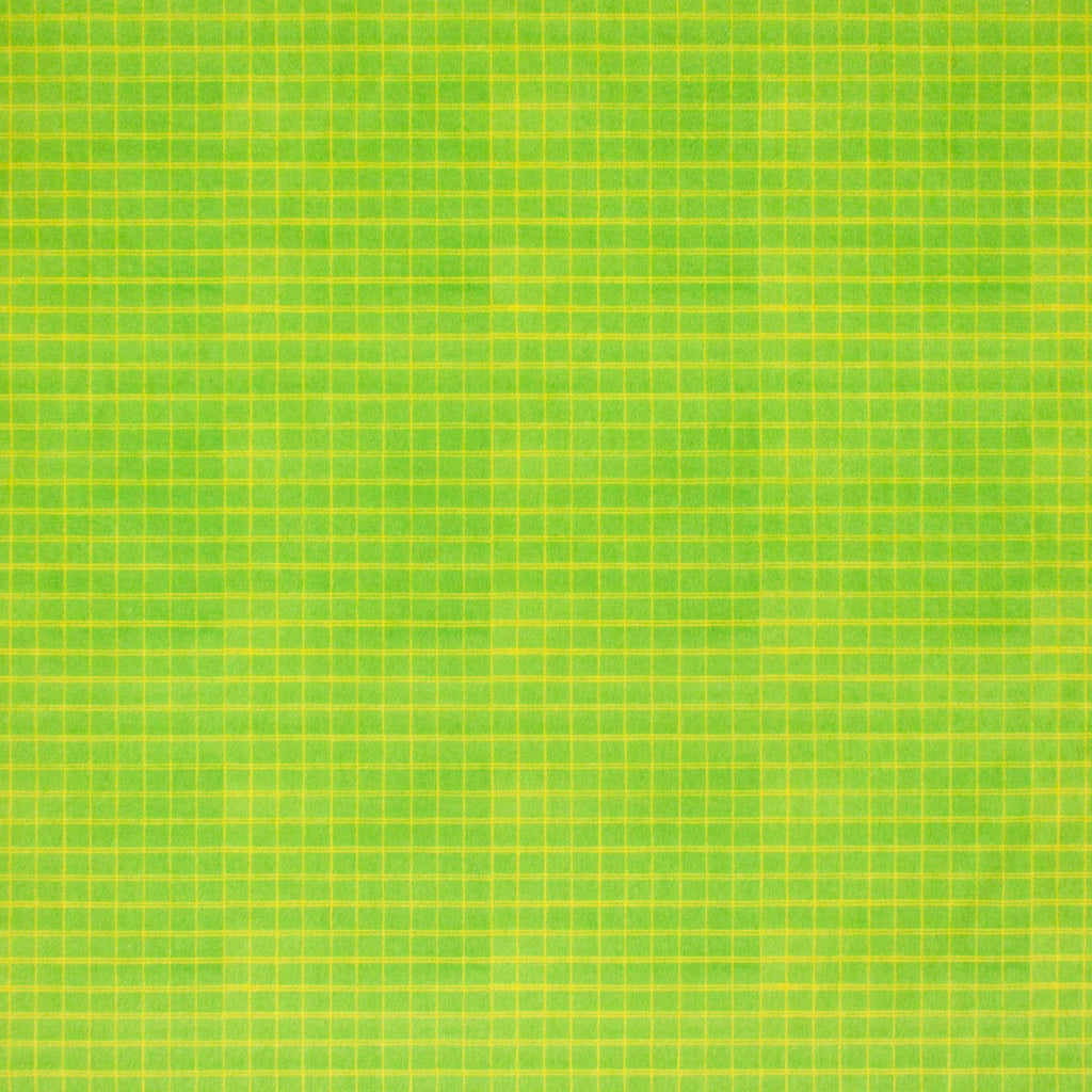 Double-Lined Graph | Buzzy as a Bug