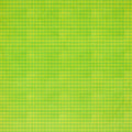Double-Lined Graph | Buzzy as a Bug