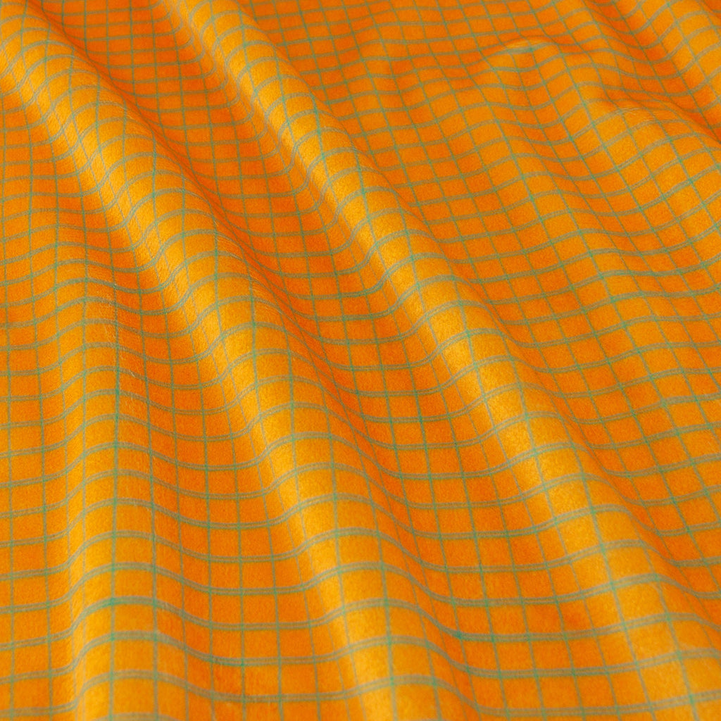 Double-Lined Graph | Buzzy as a Bug