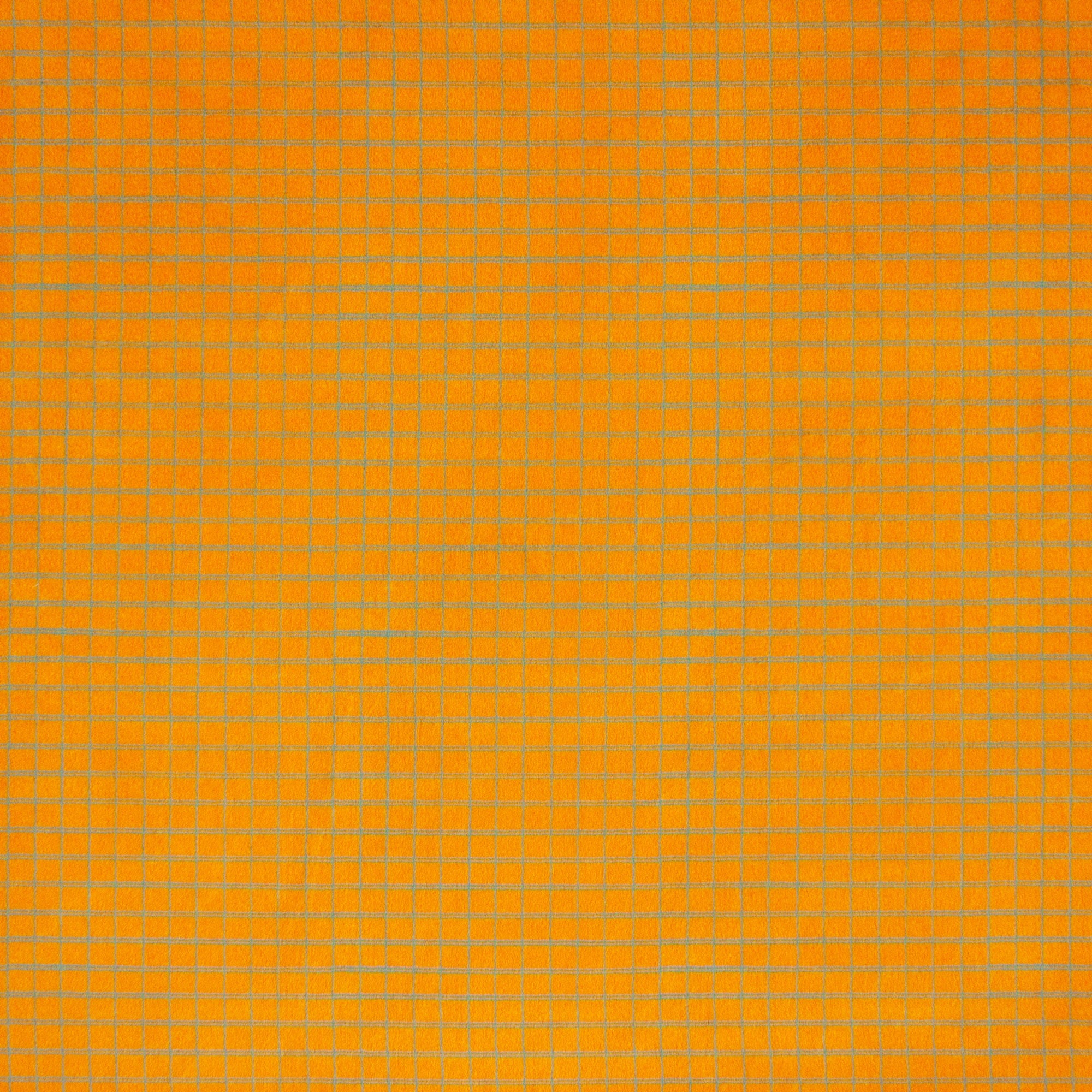Double-Lined Graph | Buzzy as a Bug