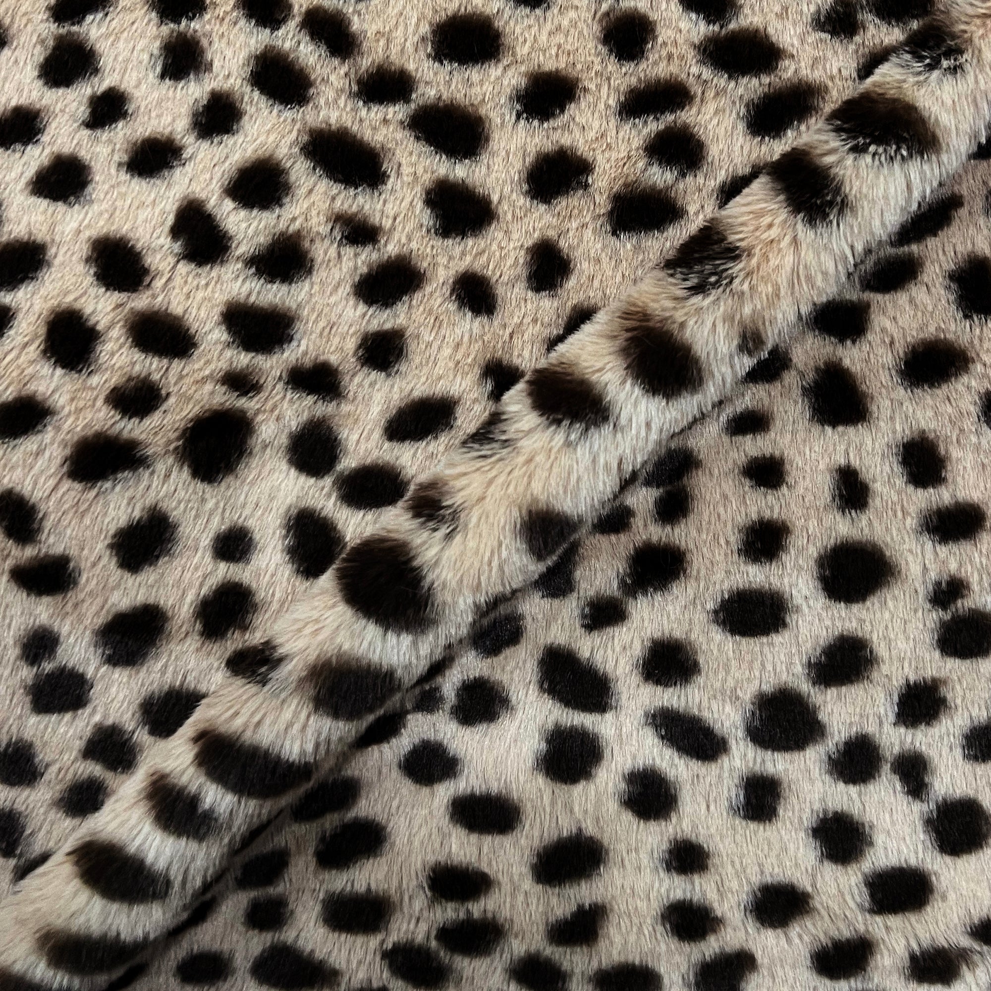 Lady Cheetah Snuggle