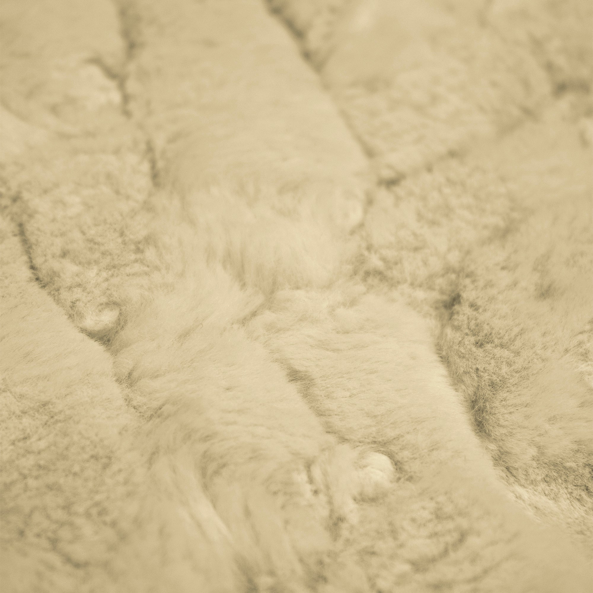 Lorenzo Snuggle - Being Discontinued