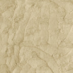 Lorenzo Snuggle minky fabric, neutral tone detail