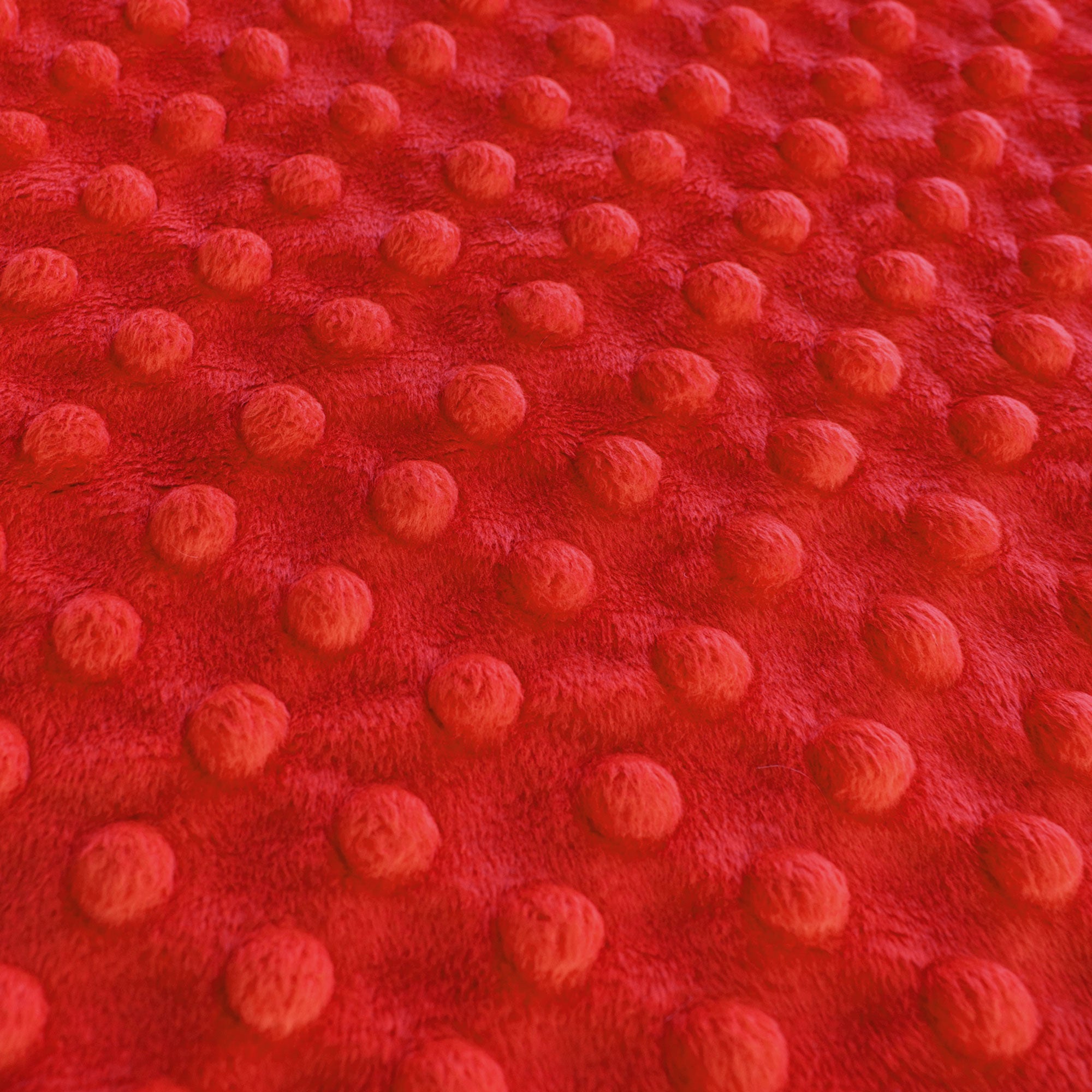 Solid Minky Dot - Warm Tones