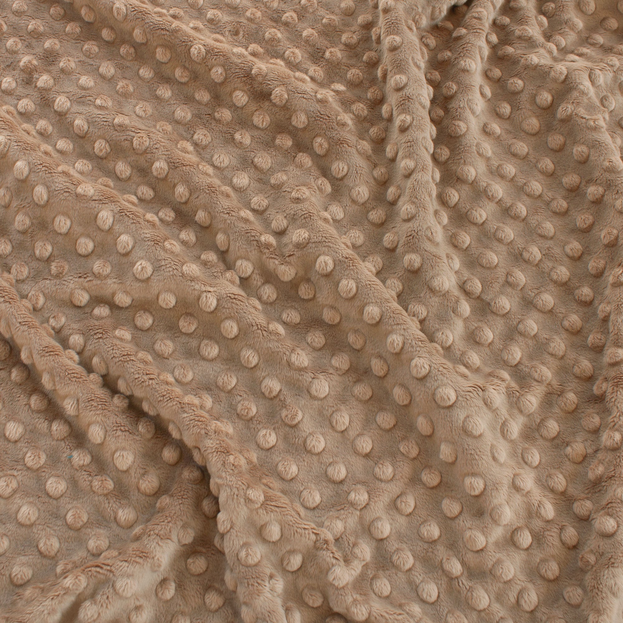 Solid Minky Dot - Neutrals
