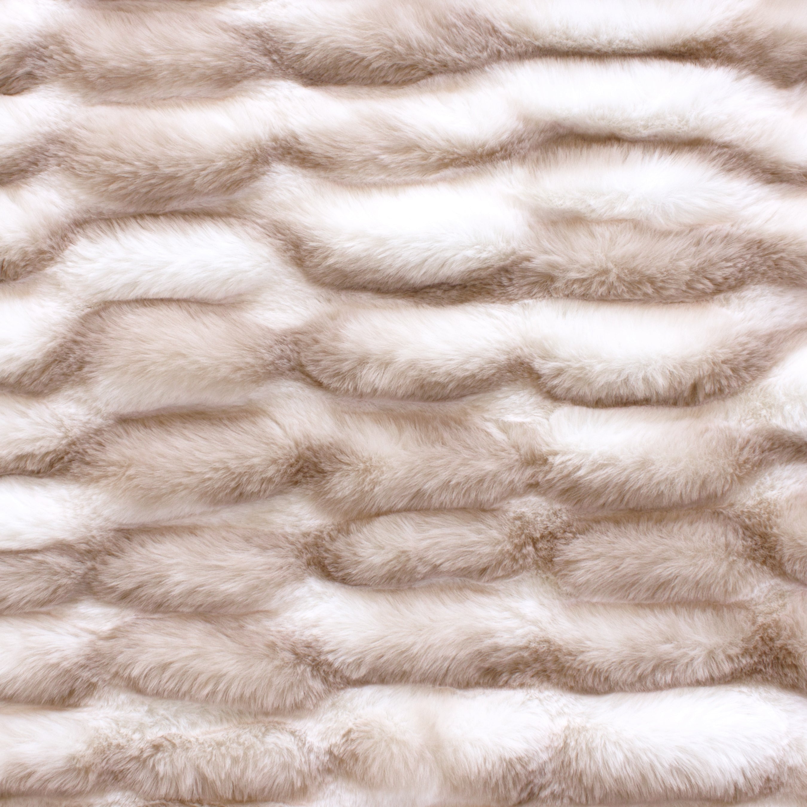 Snow Chinchilla Sharpei Snuggle®