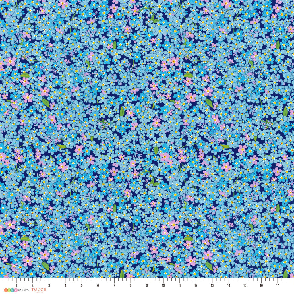 Forget Me Not Packed | Alaska Wildflowers by Teresa Ascone