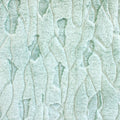 Frosted Four Seasons Snuggle®