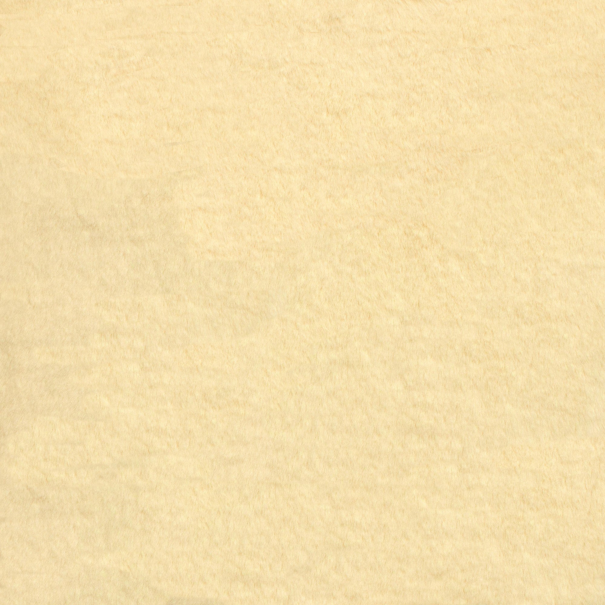 Whispy Snuggle - Warm Tones