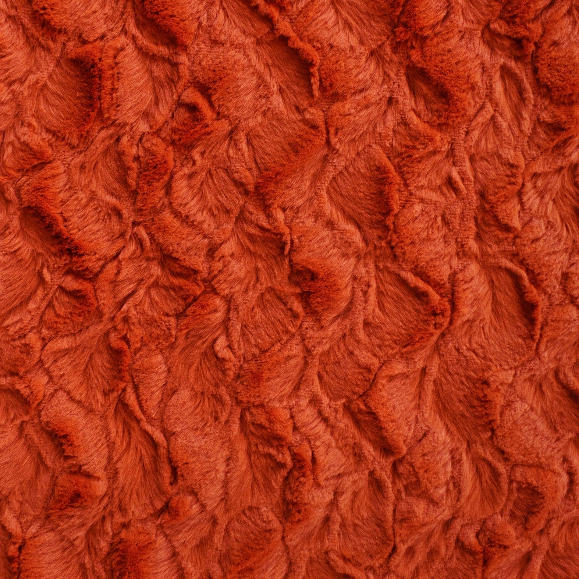 Bella snuggle minky fabric warm tones, yardage roll