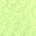 Bella snuggle minky fabric greens, bolt