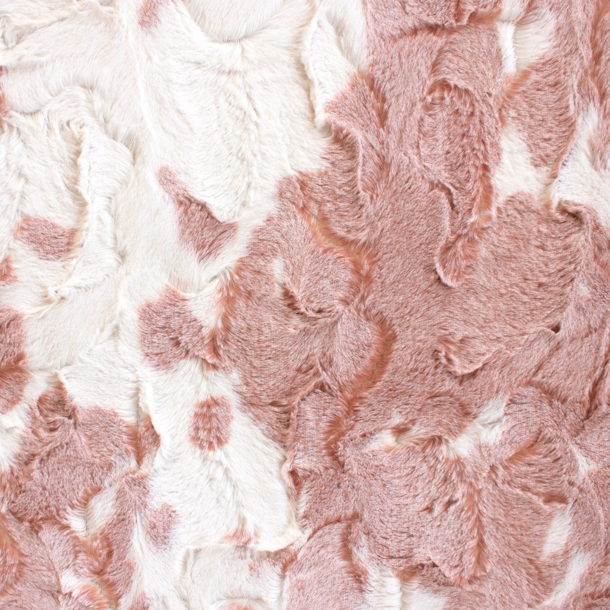 Dusted Appaloosa snuggle minky fabric, bolt view