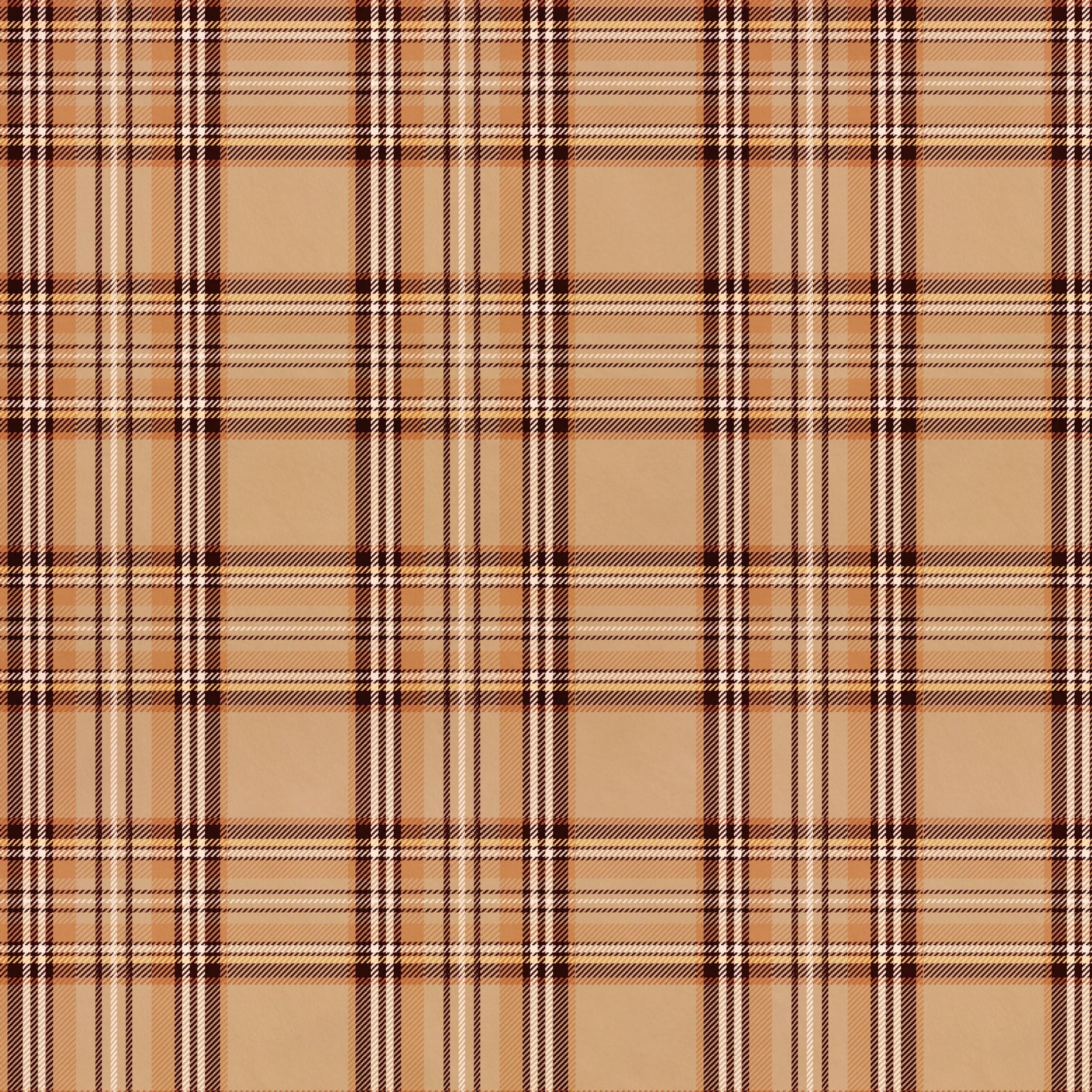 Plaid minky fabric, pattern detail