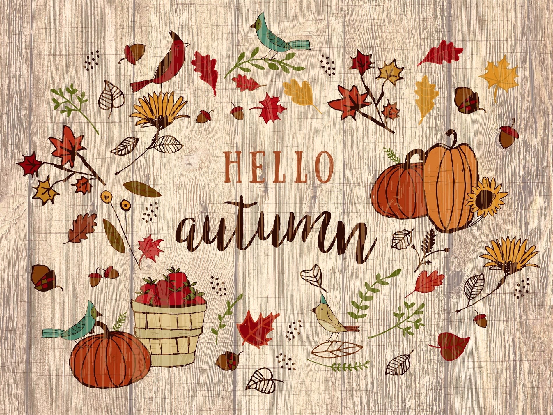Hello Autumn Panel fall minky fabric, swatch