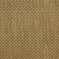 Maple Leaves autumn minky fabric, swatch
