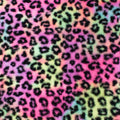 Rainbow Leopard snuggle minky fabric, swatch
