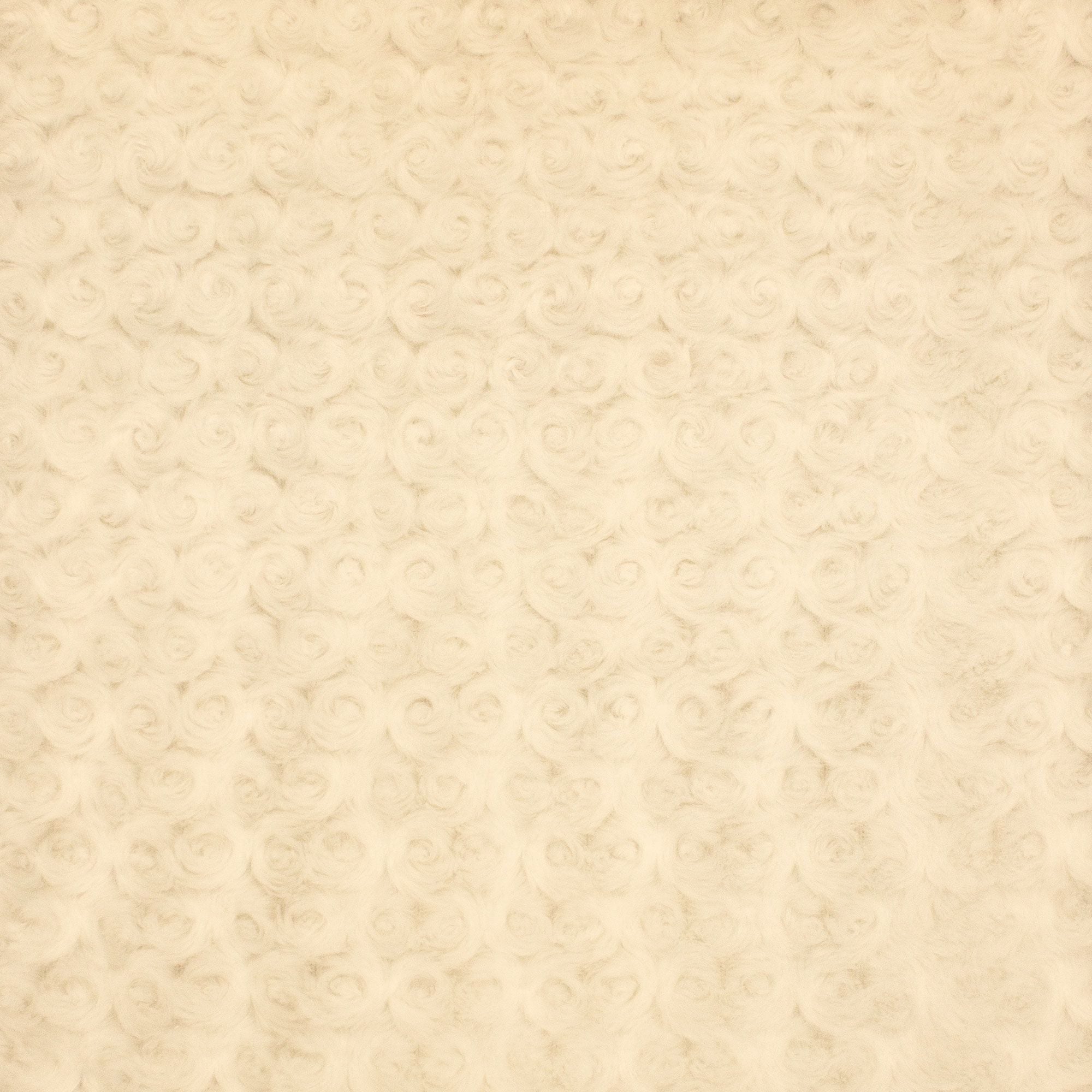 Minky Rosebud minky fabric color swatch