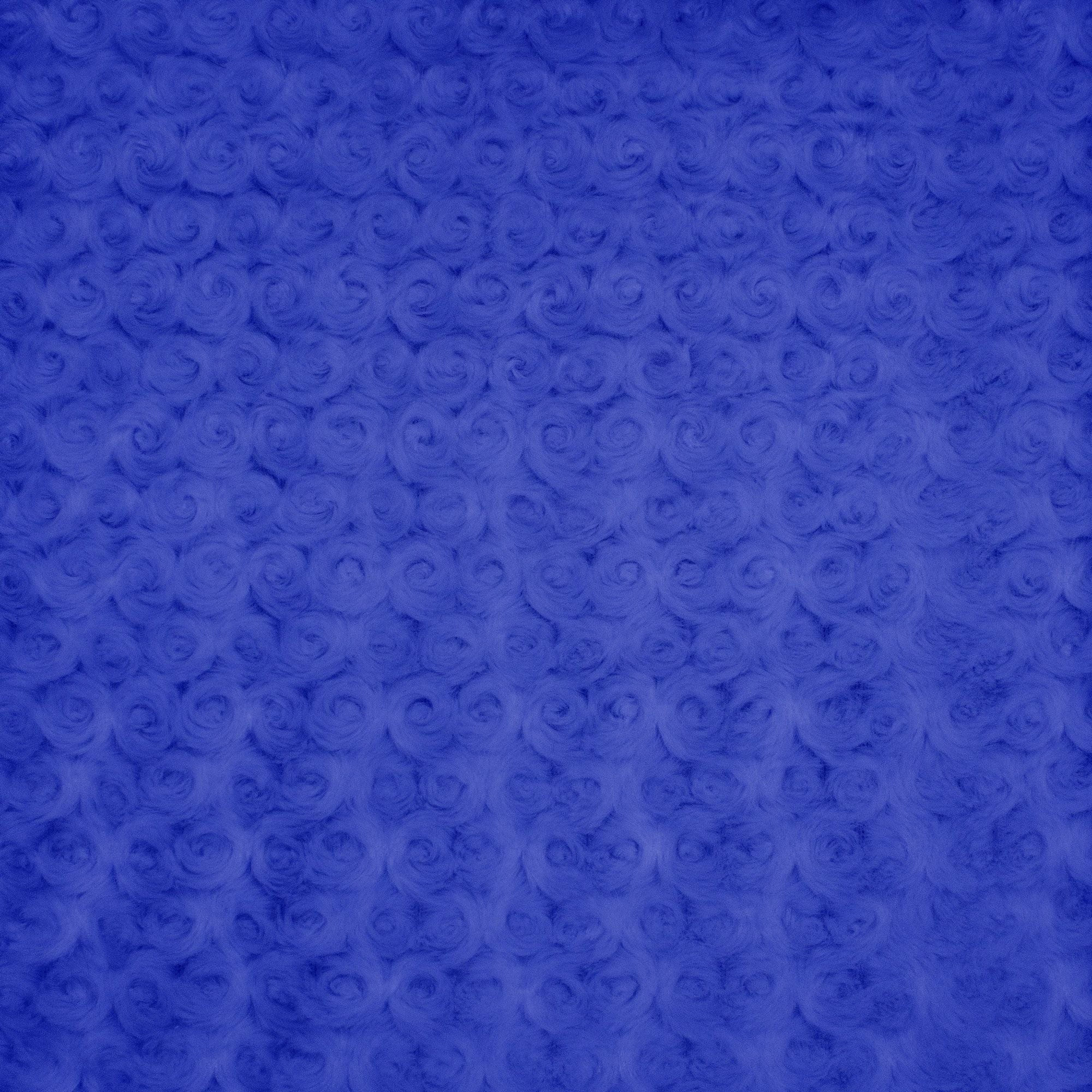 Minky Rosebud rosebud texture close-up