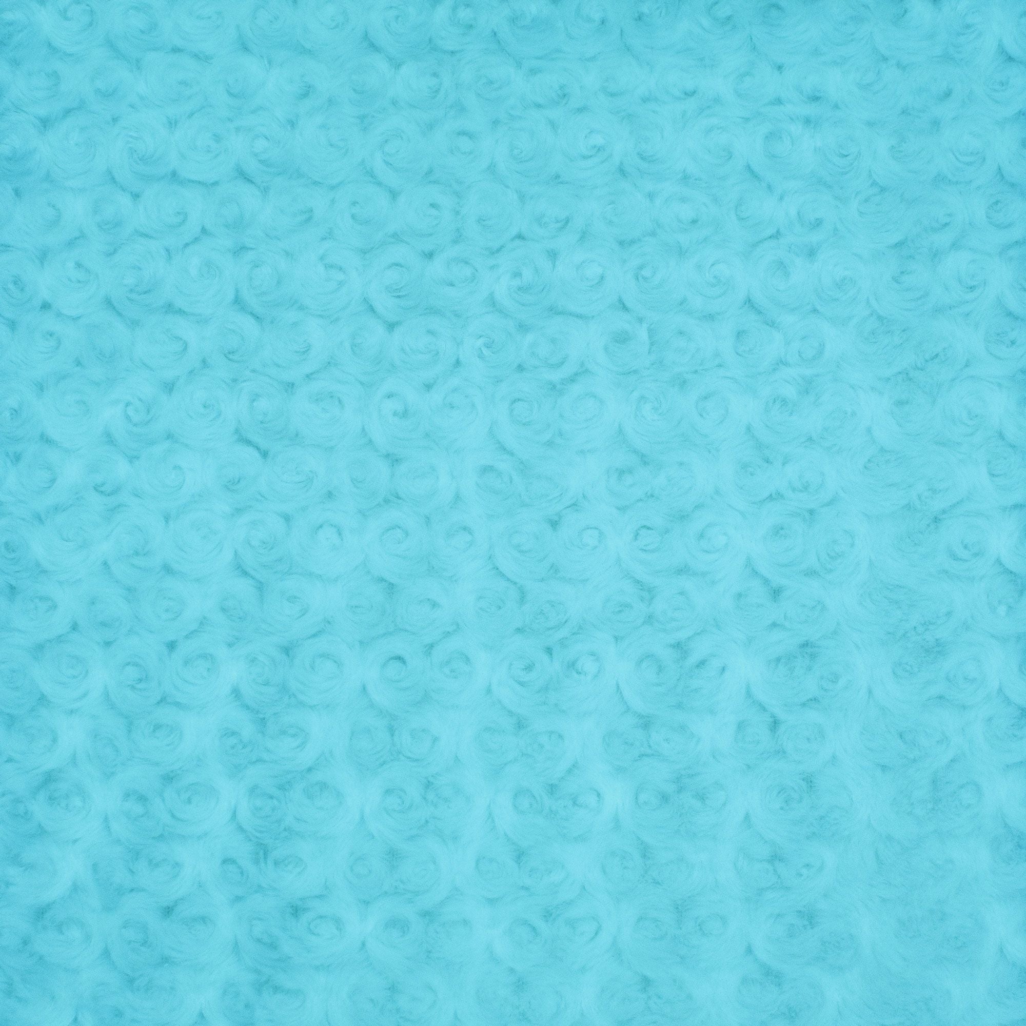 Minky Rosebud snuggle minky fabric folded
