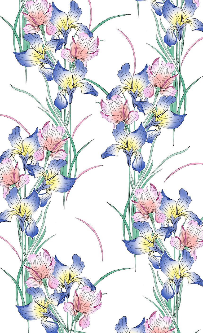 Blue and pink irises floral minky fabric, swatch