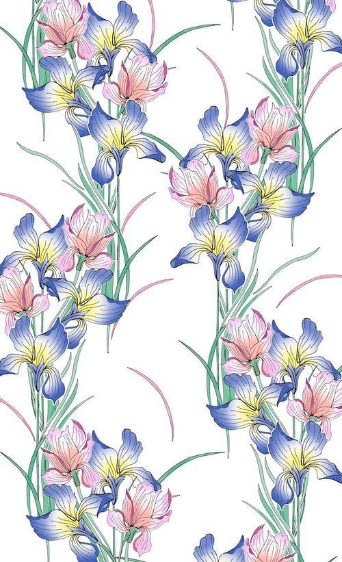 Blue and pink irises floral minky fabric, swatch