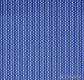 Swiss Dot Deep Ocean Blue Print Minky By EZ Fabric 