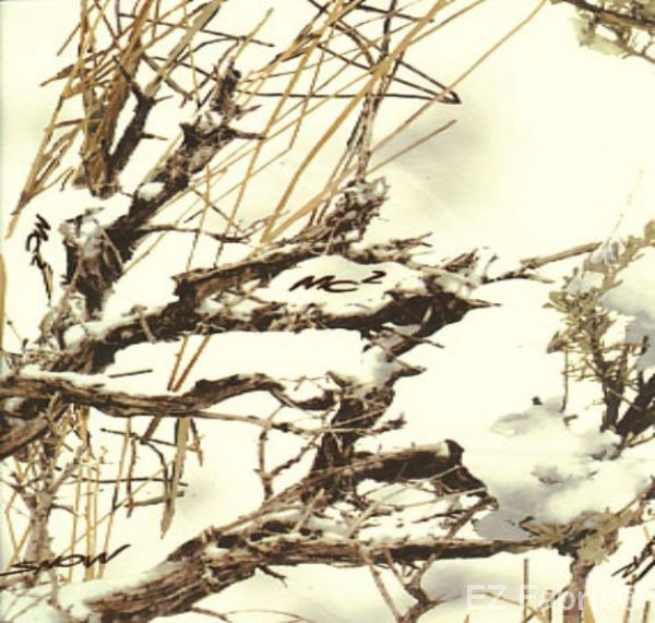 True Timber white minky fabric, swatch