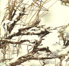 True Timber white minky fabric, swatch