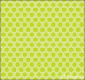 Two Tone Dot Green Print Minky By EZ Fabric 