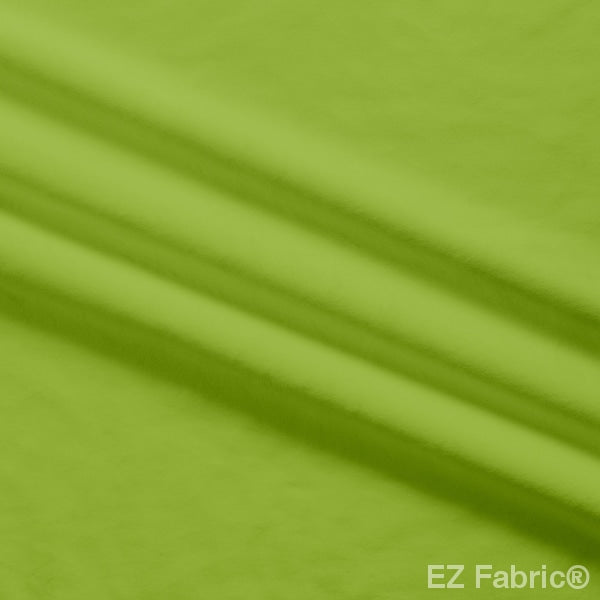 Silky minky smooth fern, close-up
