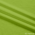 Silky minky smooth fern, close-up