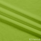 Silky minky smooth fern, close-up