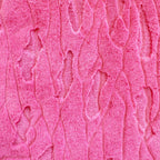 Frosted Four Seasons Snuggle®