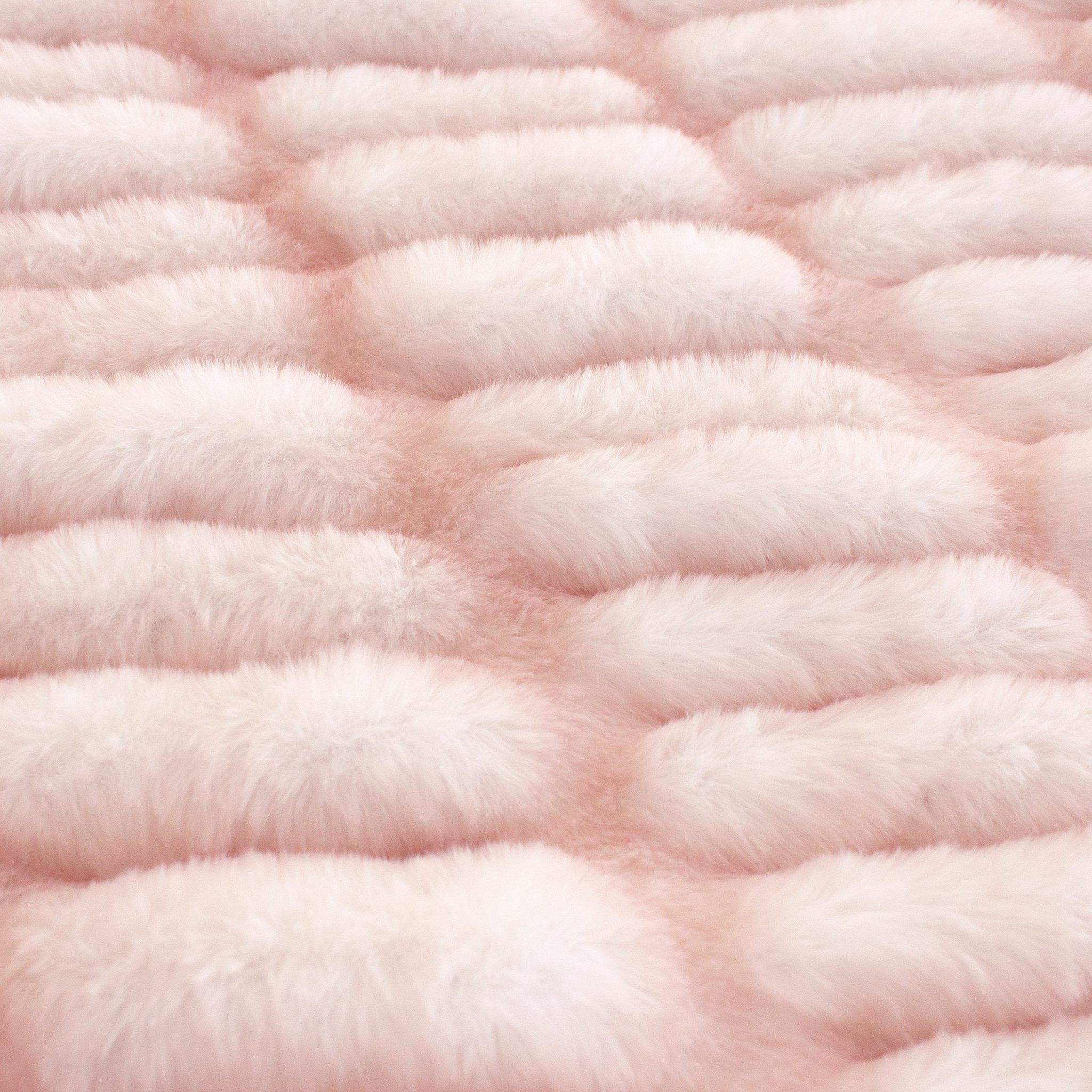 Frosted Puppy Sharpei minky fabric, surface close-up