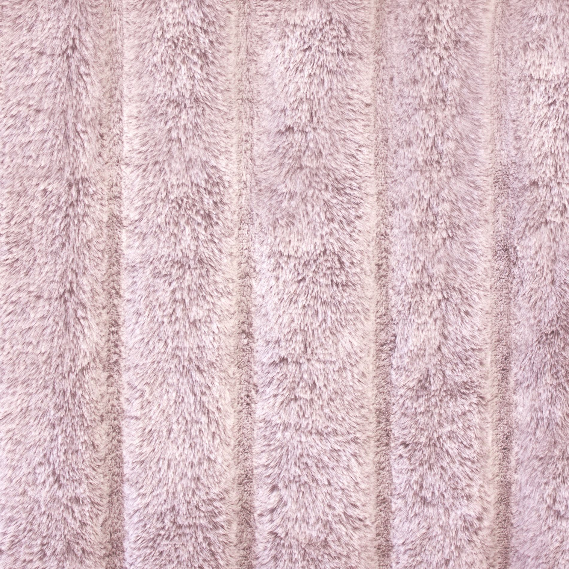Frosted Koala snuggle minky fabric, swatch