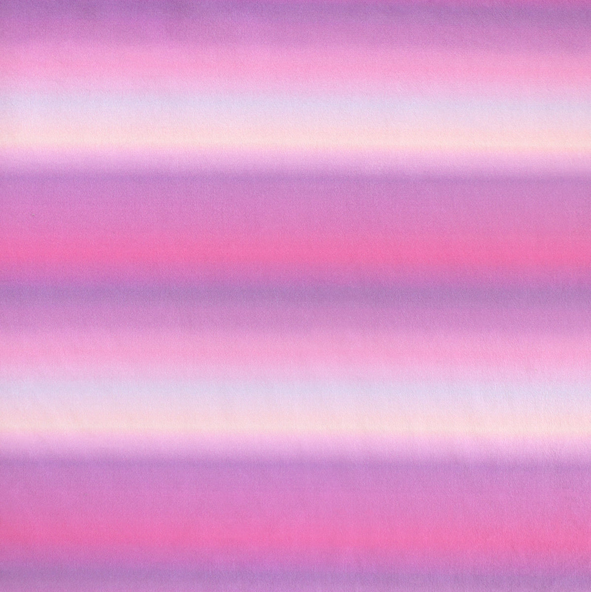 Blurred Out | Kitty Cat