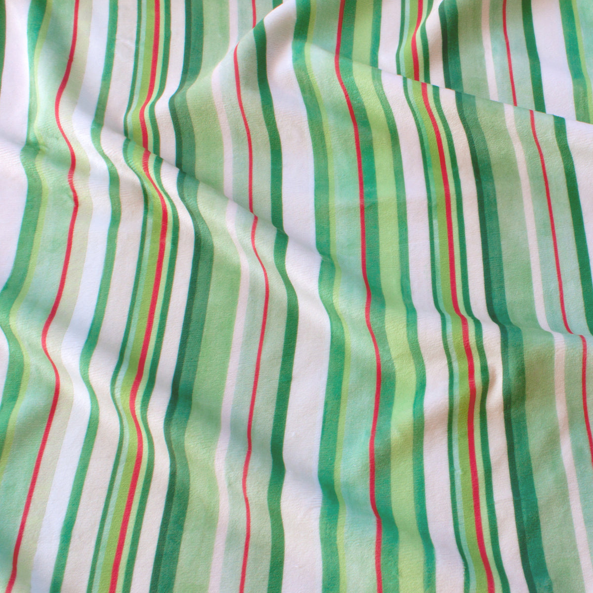 Holly Stripe