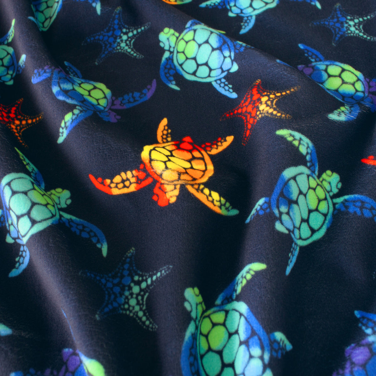 Small Sea Stars and Turtles