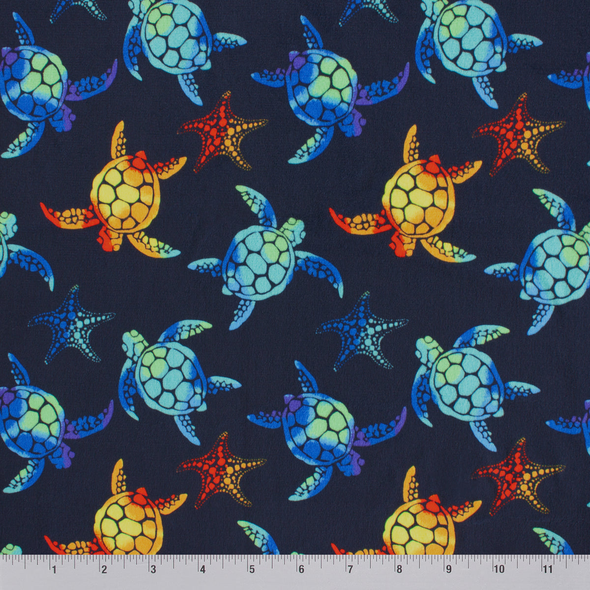 Small Sea Stars and Turtles