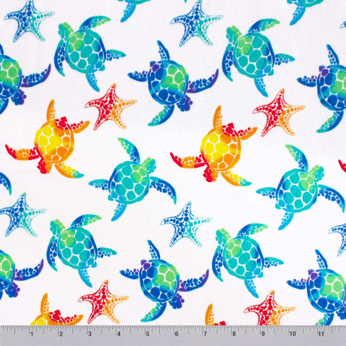 Small Sea Stars and Turtles