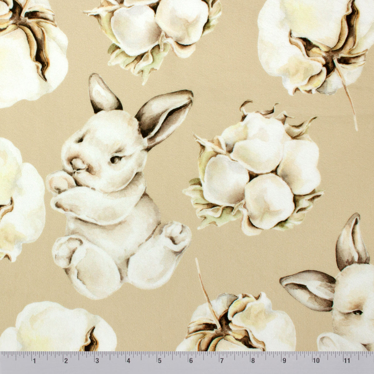 Cottontail