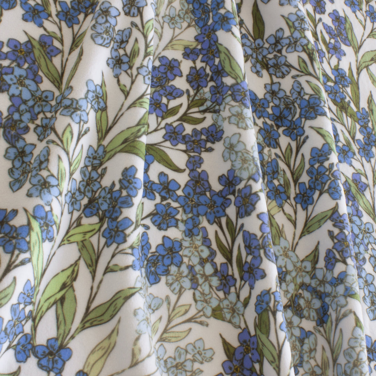 Wild Forget-Me-Nots