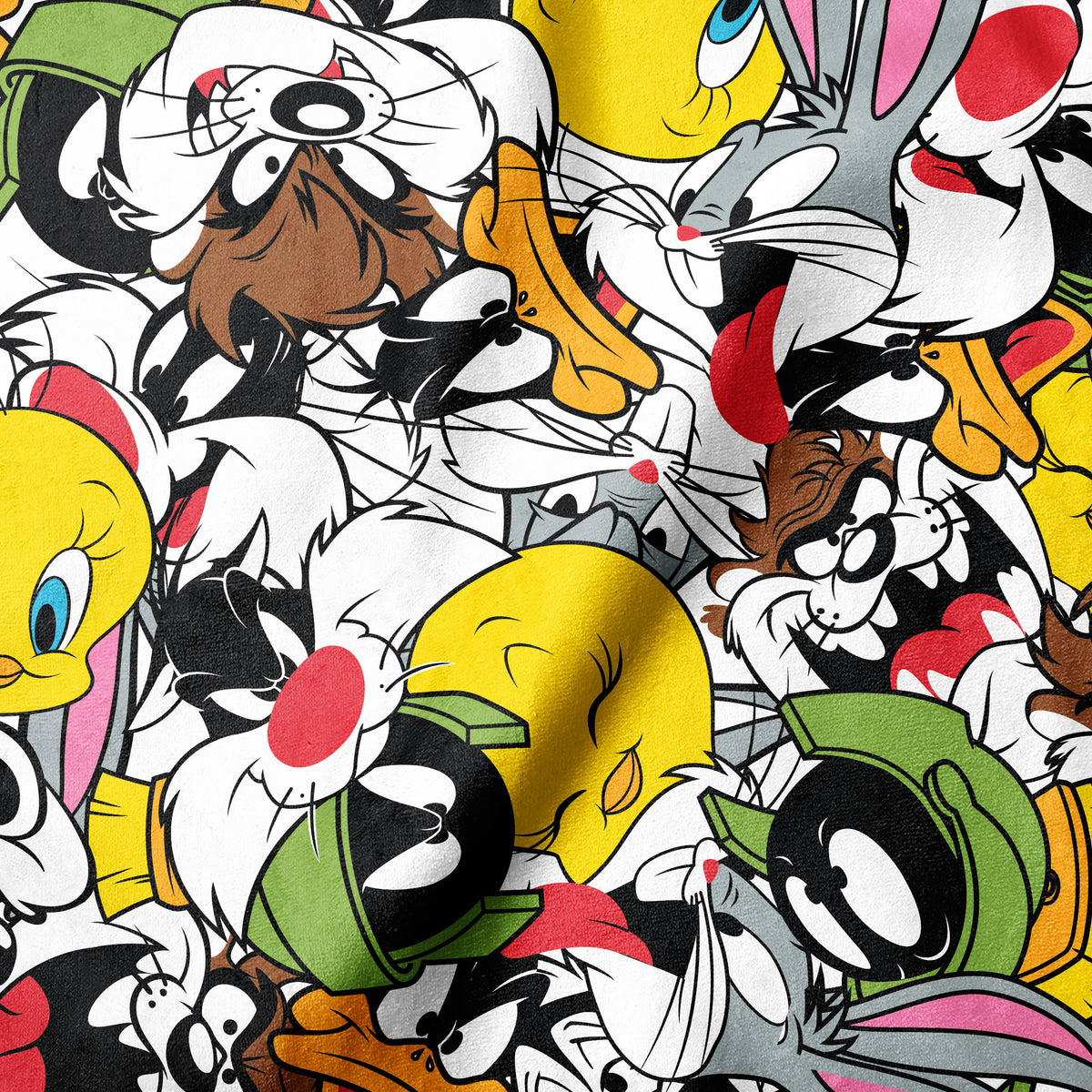 Looney Tunes - Party - Minky Print