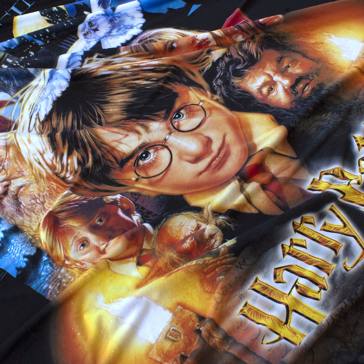 Harry Potter Group Shot Panel 45x60"