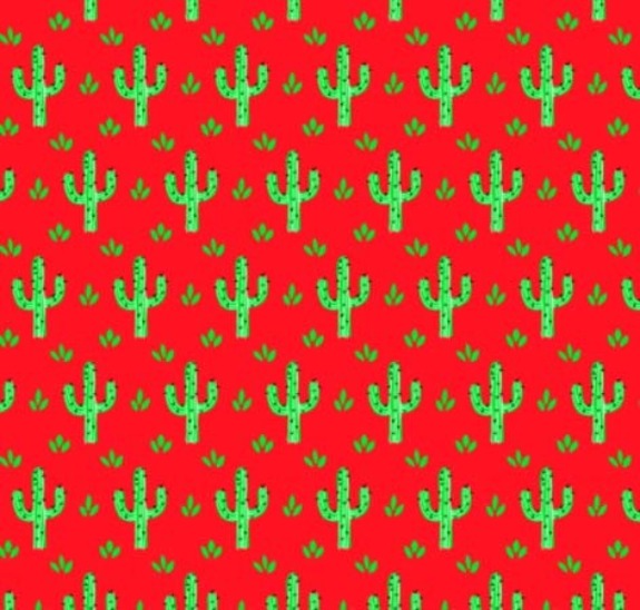 DESERT CACTUS PRINT ON MINKY FABRIC BY EZ FABRIC