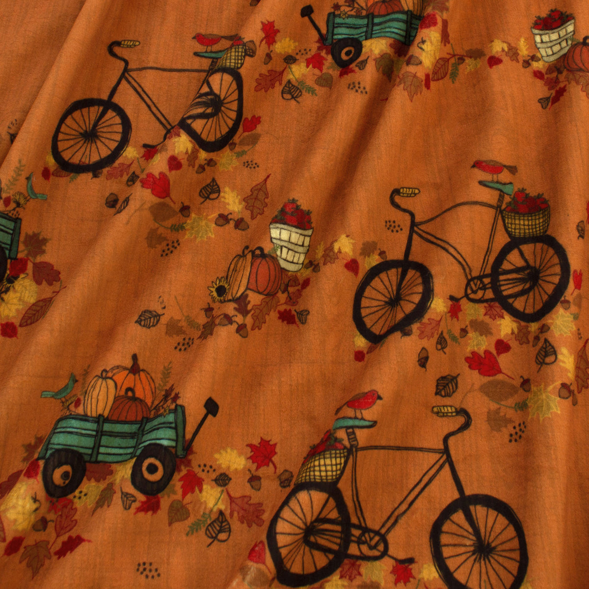 Autumn Bicycle Ride | Thanks Living