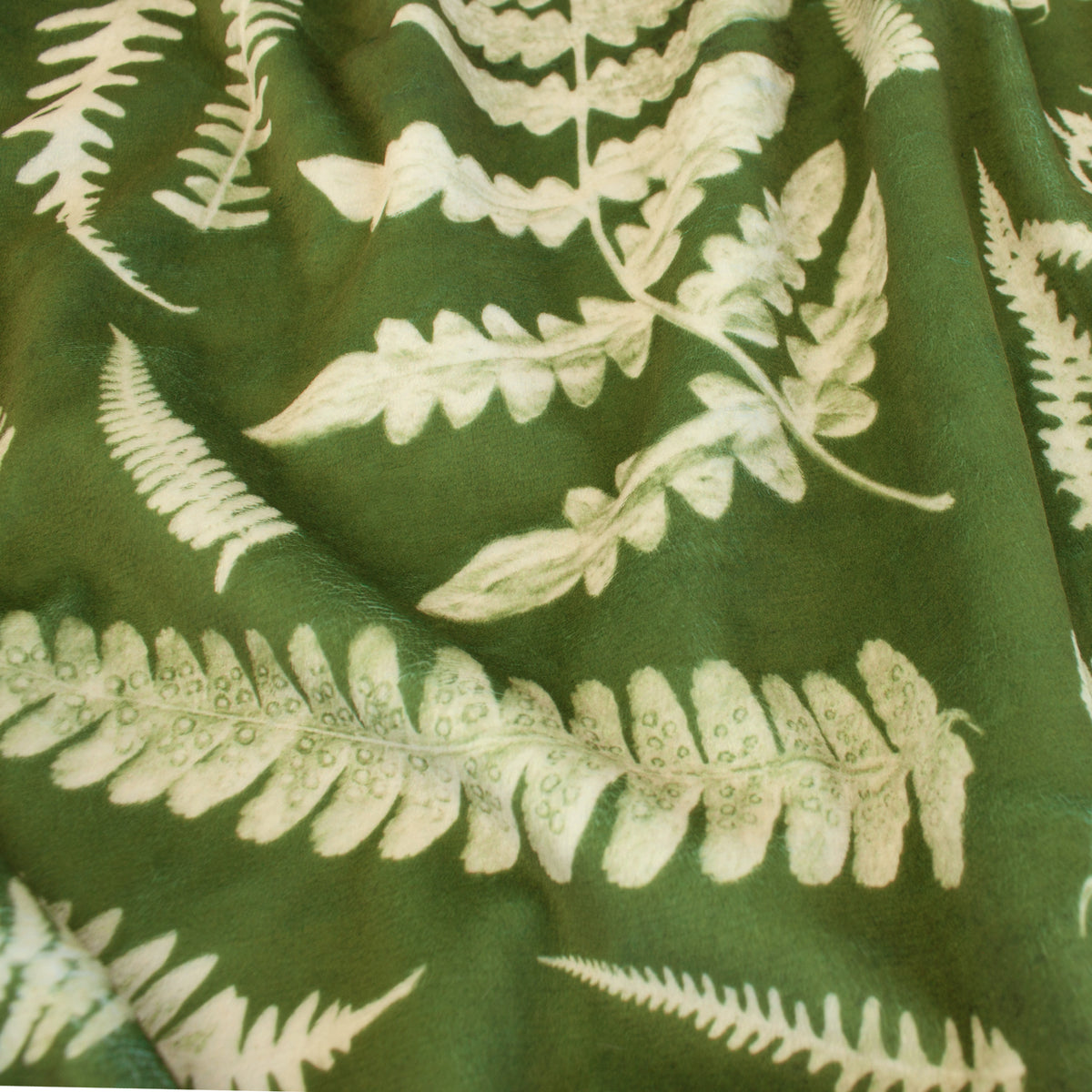 Boho Chic Ferns | Boho Chic Ferns